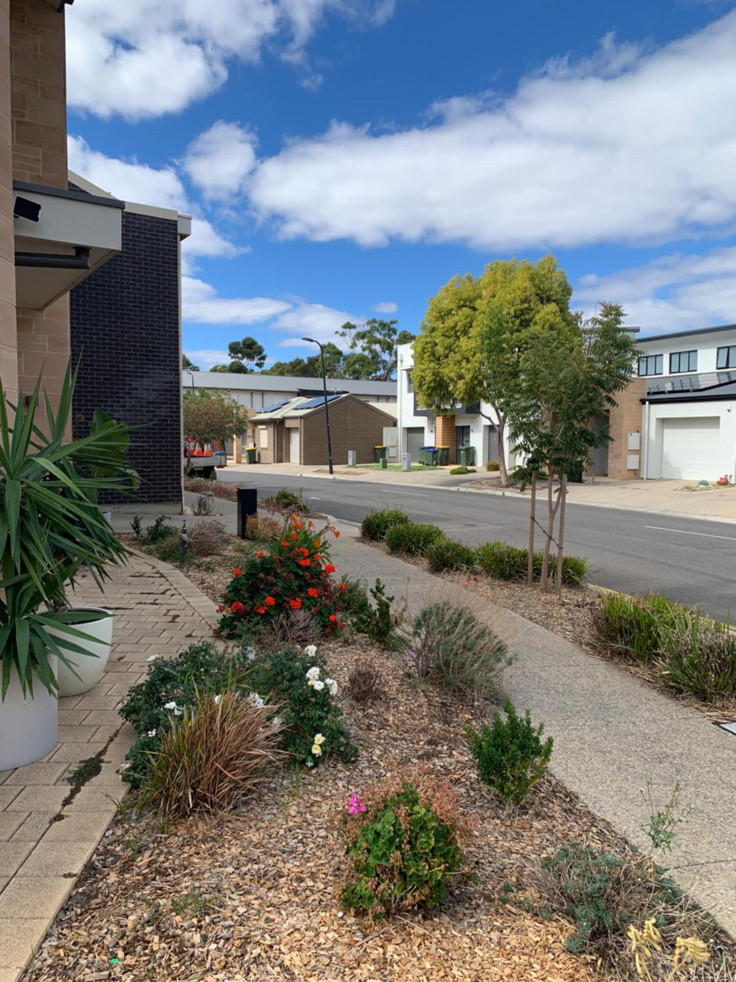 Luxurious * Woodville South